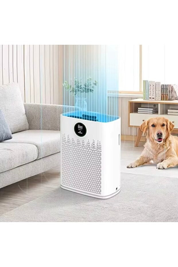 Hava Temizleyici – 4 Kademeli Hız, Sessiz Çalışma, Zaman Ayarı, Çocuk Kilidi