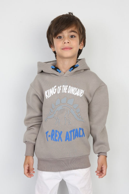 Üç İplik Şardonlu Baskılı Kapşonlu Erkek Çocuk Günlük Sweatshirt