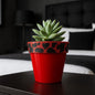 NF FERRARİ saksı Kırmızı