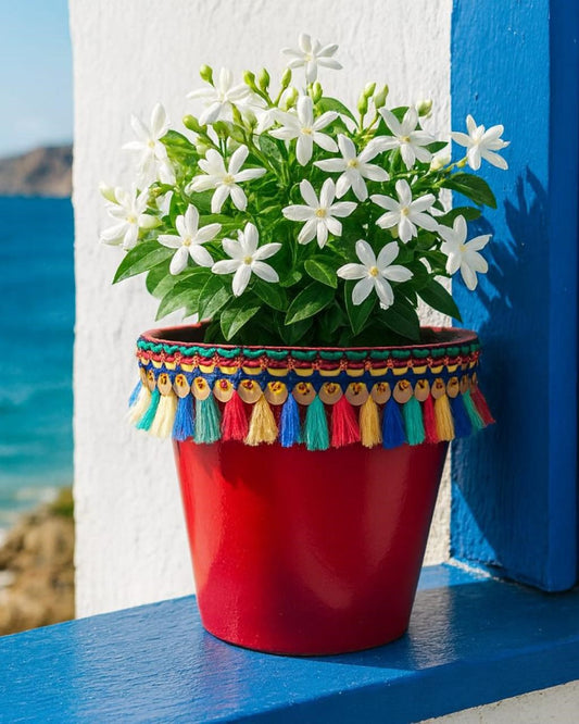 NF Dekoratif Saksı KIRMIZI PÜSKÜLLÜ